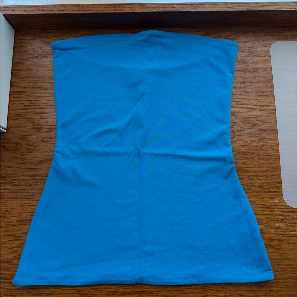 Aritzia Contour Appeal Tube Blue Top